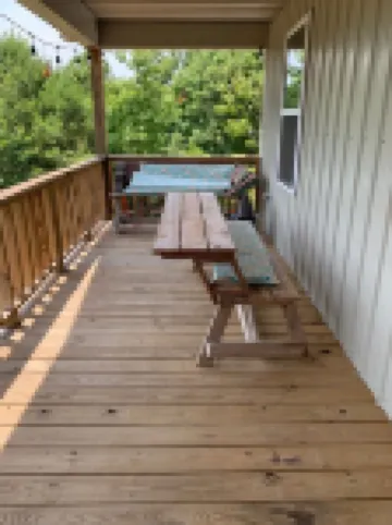 Sweet Little Bee Hive in the Ozarks!