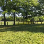 Bargain housing Minutes from Tryon International Equestrian Center