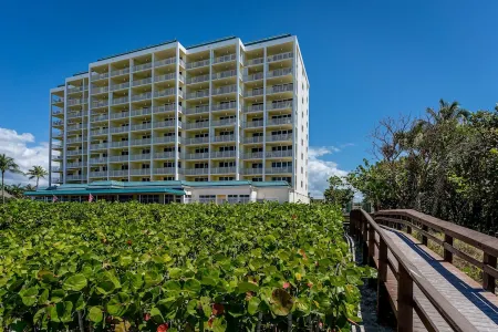 🐬 Exquisite Newly Remodeled Beachfront Apollo Condo 9th Floor with gorgeous view