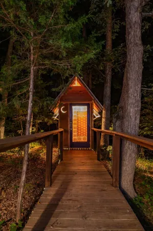 Yurt Floating in the Forest