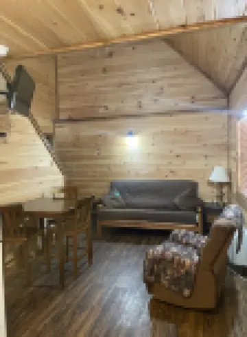 Pine Perfect Cabin on the edge of town only 1/2 mile from Current River!