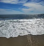 Private condo 5 minute walk Beach, Boardwalk, Convention Center, Fox Park & Food