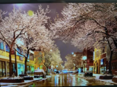 The Barron Historic Eau Claire Home