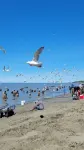Location! Location! Location! Apt in the heart of Kenai! 1.5 miles to the Beach! Hotels in Kenai