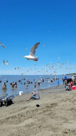 Location! Location! Location! Apt in the heart of Kenai! 1.5 miles to the Beach! Отели в г. Кенай