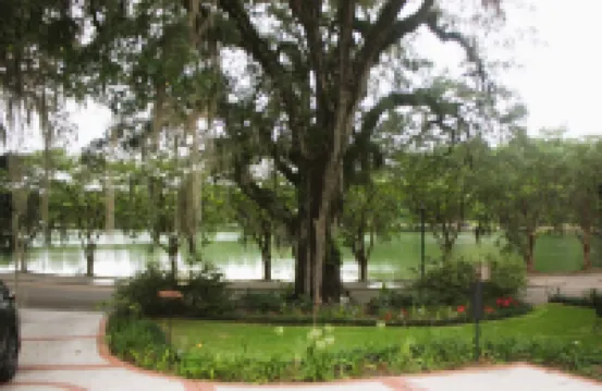 Villas @ Lake Ella: 1br/2queen-1bth-Kitchenette