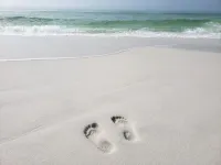 Dancing Dolphin! A walk to the beach! UNIT A