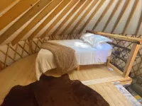 Windsong yurt, in the treetops, hottub on the top deck, pet friendly, stargazing Hotels in Piper Gap