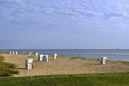 Tallskog - Your apartment on the natural beach of Hohen Wieschendorf Отели в г. Хоэнкирхен