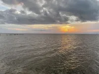 Oasis in Daphne