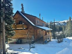 Renovated, roomy, 4BR, private log cabin with rec room, Starlink, views & more…