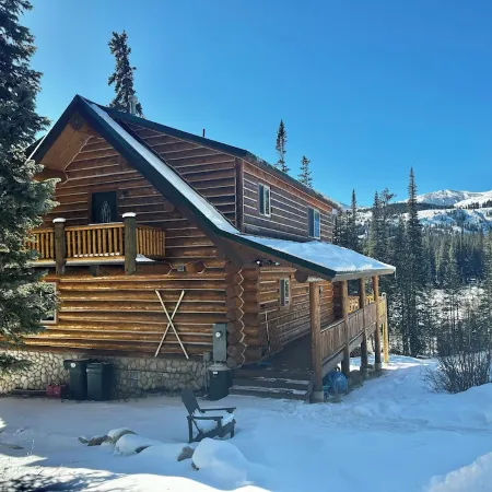 Renovated, roomy, 4BR, private log cabin with rec room, Starlink, views & more…