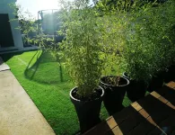 Cette "vie-là" Dans les Alpilles