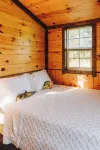 Tiny Cabin At The Pond