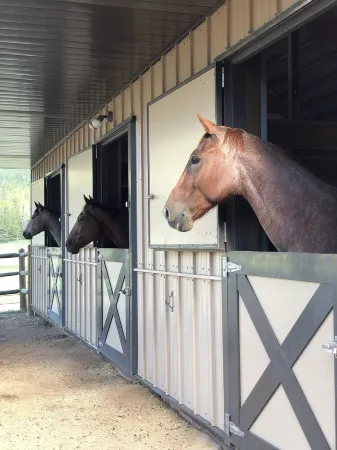 Remodeled vintage cabins! 31 day stay minimum. Longs Peak view! Sleeps 10. Отели рядом с достопримечательностью «Гоблинс Форест»