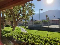 Psp Dream Stay -  Large 2 Bedroom Condo- Inquire about Dec-Jan Availability