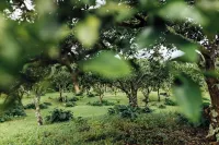 Cozy cottage nestled on our 5 acre Organic fruit farm