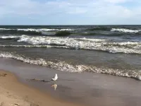 Charming RedBird Cottage- On A Back Dune, Walk To The Beach