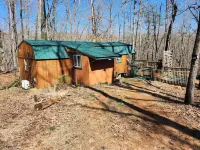 Rose's Cabin - A Rustic Pet-Friendly Cabin in the Woods