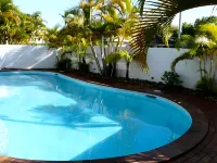 Champelli Palms Apartments - Pool