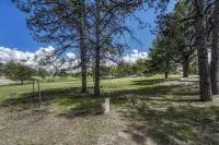 Retreat with Pikes Peak Views in Black Forest Colorado Springs