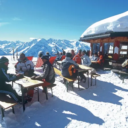 Stylish Flats in Uderns Near Ski Lift