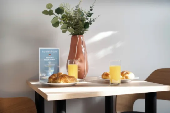 Central Bonn Apartments I home2share