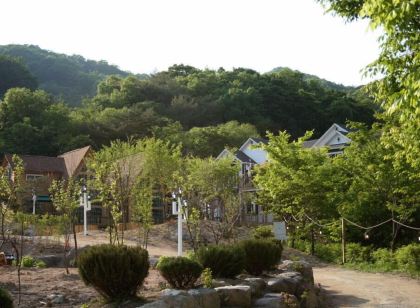 숲속의예쁜펜션