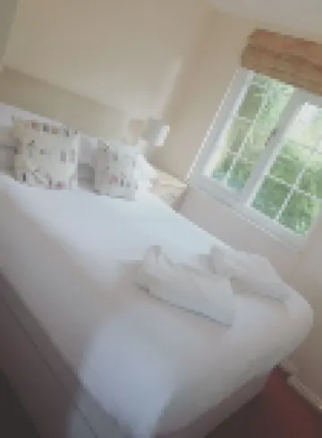 카멜리아 샬레