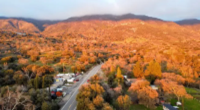 吉納塞拉利昂酒店及餐廳