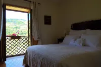 Hotel Rural da Quinta do Silval Hotels in Vale de Mendiz