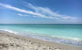 Beach Club at Siesta Key Poolside D