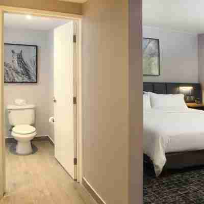 보코 살티요 스위트 바이 IHG Rooms