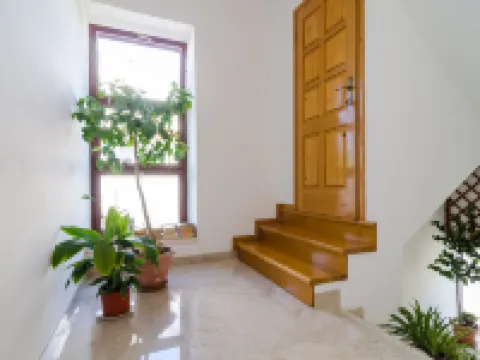 Apartments Palma Hotels in Polace