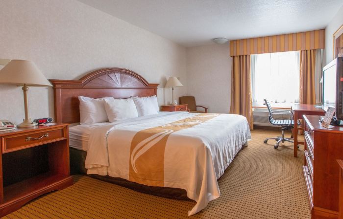 Quality Inn & Suites University