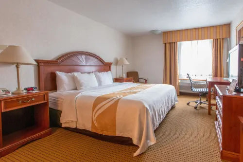 Quality Inn & Suites University - 2-Star