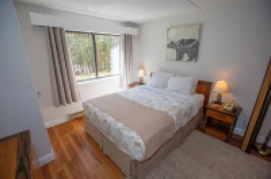 Black Bear Lodge Hotels in Waterville Valley