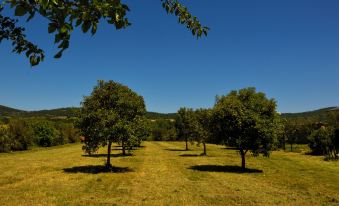 Agriturismo "La Fraschetta"