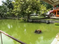 Jconfarm Hoteles en Dapitan
