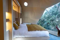 芬伍德飯店 - 3 星級