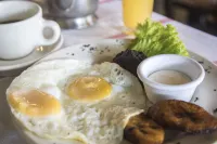 Hotel Museo Mayan Inn - breakfast