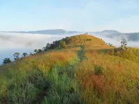 Porcupine Ridge Guest House