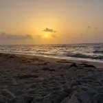 Beach Bungalow Steps from Beach! <br>TX Registration#305170