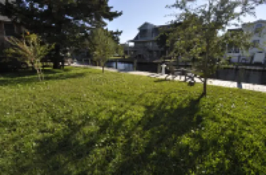 Canal Front Living and Rooftop Deck - Stunning Contemporary Oasis