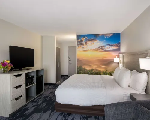 凱藝酒店 傑克遜縣酒店