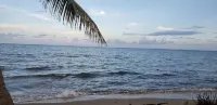 Pal's on the Beach - Dangriga, Belize - Strand