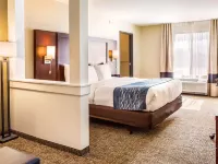 Comfort Inn & Suites Niagara Falls Blvd USA Hotels near Niagara Aerospace Museum