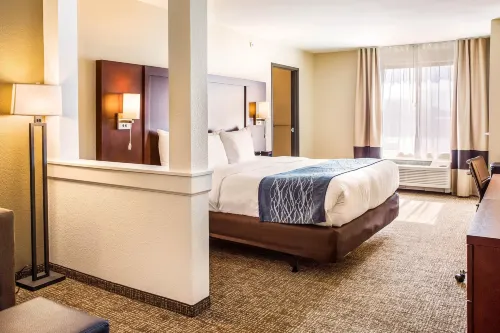Comfort Inn & Suites Niagara Falls Blvd USA