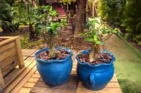 Pousada Marimar Hotels in Ilha do Mel
