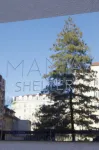 Mama Shelter Lyon - Scenic